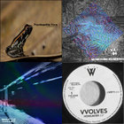 伊2LP Don Carlos Echoes Of Italy Early 90s House Vibes Vol 2: The Bi SEJFLP002 Space Echo Records /00660 Don Carlos: Echoes Of Italy - Early 90's House Vibes Vol. 2