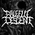Baleful Descent image