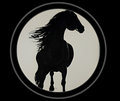Stray Horse Records image