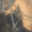 newt thumbnail