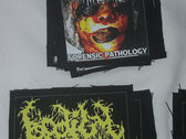 Bodily Stew Plus Sebum COMBO patches photo 