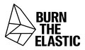 Burn The Elastic image