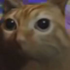 chatocrate  thumbnail