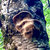 Jubal thumbnail