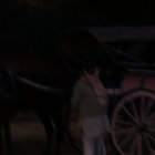 rabiemustapha thumbnail