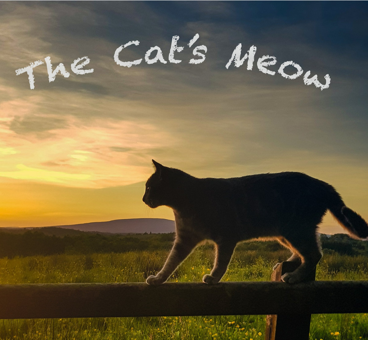 The Cat's Meow The Cat's Meow