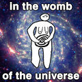 IN THE WOMB OF THE UNIVERSE image