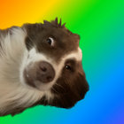 fergie thumbnail
