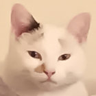 weirdexits96 thumbnail