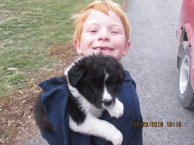 TTTT.4 | James Fournier