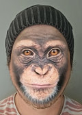 Monkeyboy image
