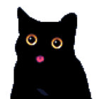 coorydoory thumbnail