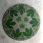 Fiddlehead 13 thumbnail