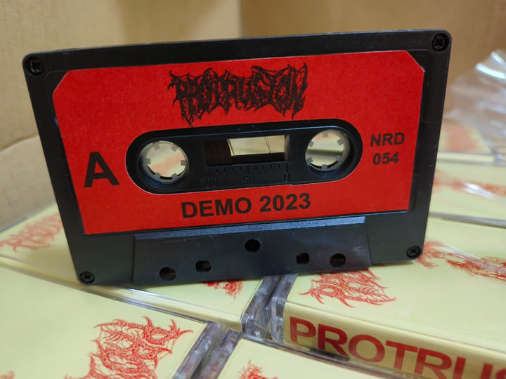Demo 2023 | PROTRUSION | Necrolatry Records