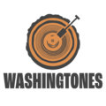 Washingtones Records image