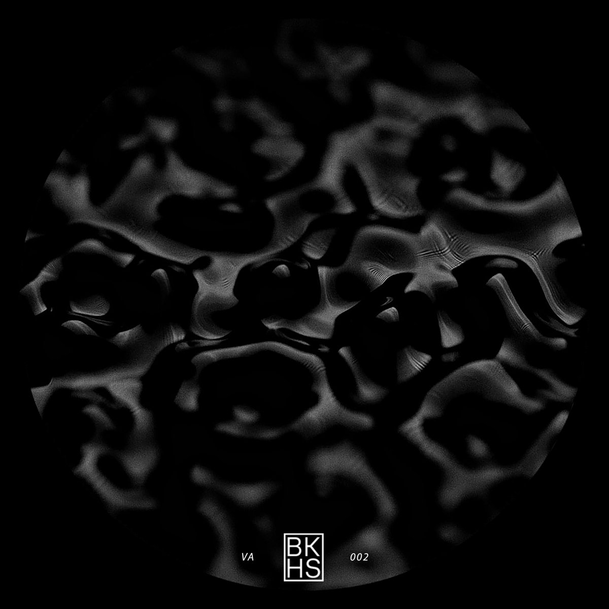 Backhaus VA Vol. 2 | Backhaus Records