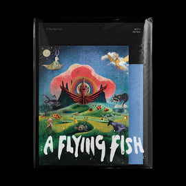 Limited Deluxe CD (100 Copies), image 1