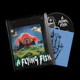 Limited Deluxe CD (100 Copies), image 2