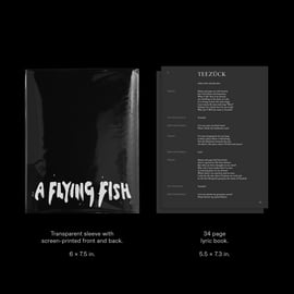Limited Deluxe CD (100 Copies), image 4
