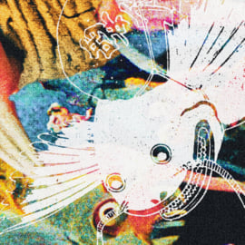Jewel Case CD (500 copies), image 2