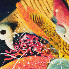 Jewel Case CD (500 copies), image 4
