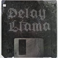 Delay Llama image