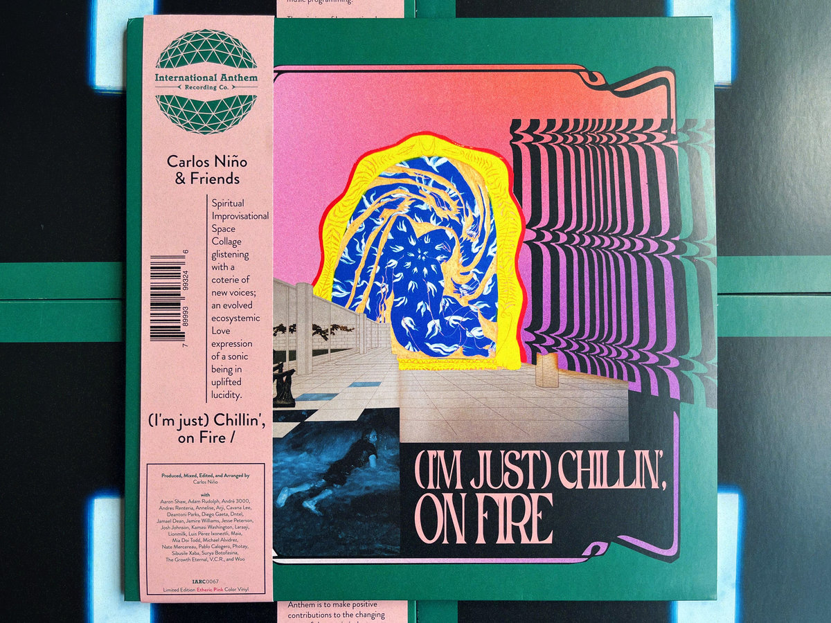 邦楽 XANVALA NICOLAS SPLIT SINGLE AIM p0622b-standard-low-octave-