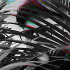 FLXFR thumbnail