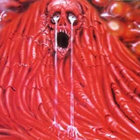 Red Shadow thumbnail