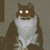Bandcamp profile picture for @romancing