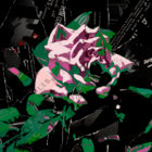 phla7 thumbnail