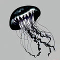 Black Jellyfish image