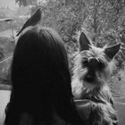 Nadia Storm thumbnail