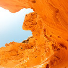 elbeaver thumbnail