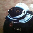 猫 Māo thumbnail