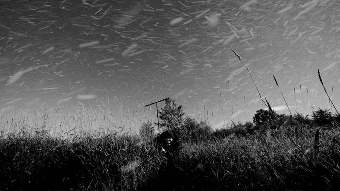 Music | Melancholia