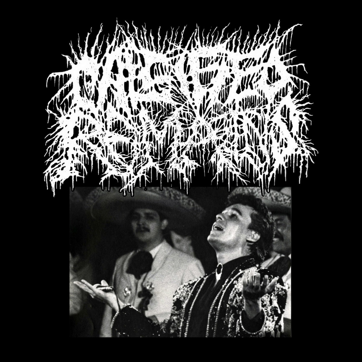 ERUPTING VASCULAR SYSTEMS Calcified Remains