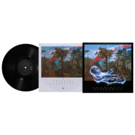 Black Vinyl 1LP, image 2