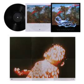 Black Vinyl 1LP, image 4