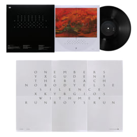 Black Vinyl 1LP, image 5