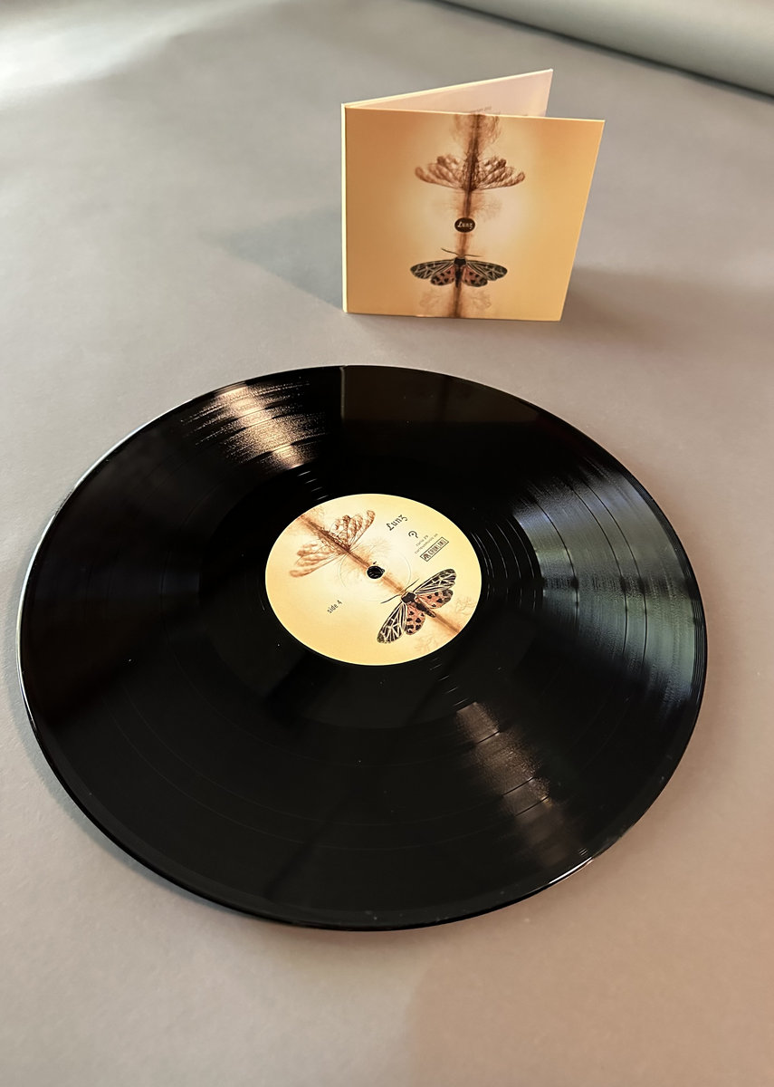 Lunz | Tim Story and Hans-Joachim Roedelius | Curious Music