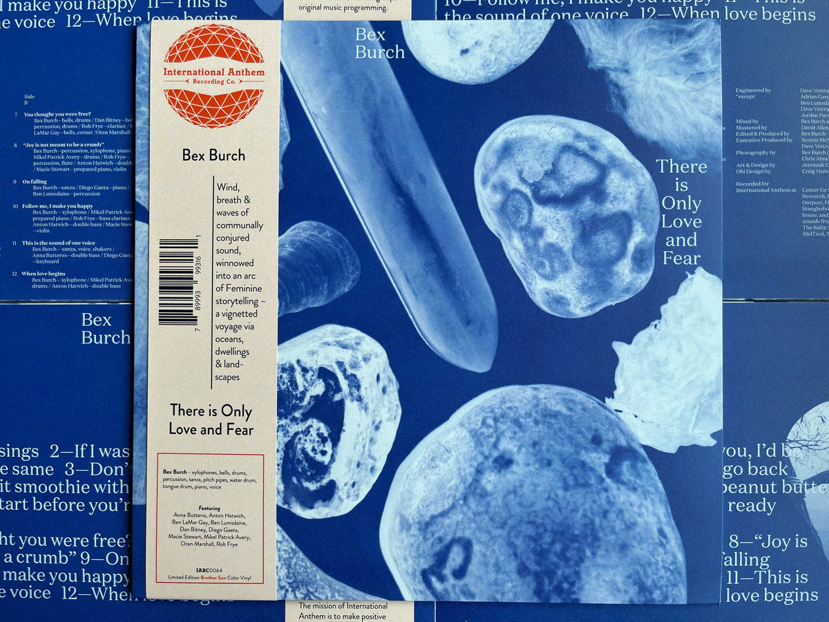 IARC0064 Brother Sun color vinyl LP