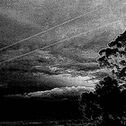 Arntor | Windir