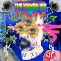 The Vicuna 100 image