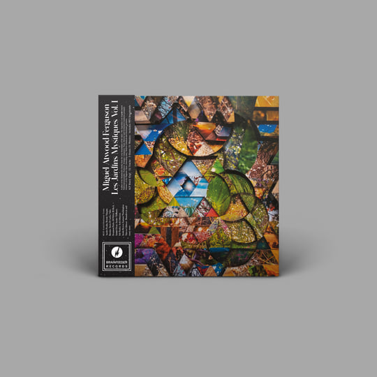 MIGUEL ATWOOD-FERGUSON / LES JARDINS… Les Jardins Mystiques Vol.1 | Miguel Atwood-Ferguson