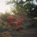 texas thumbnail