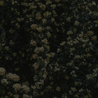 puppy thumbnail