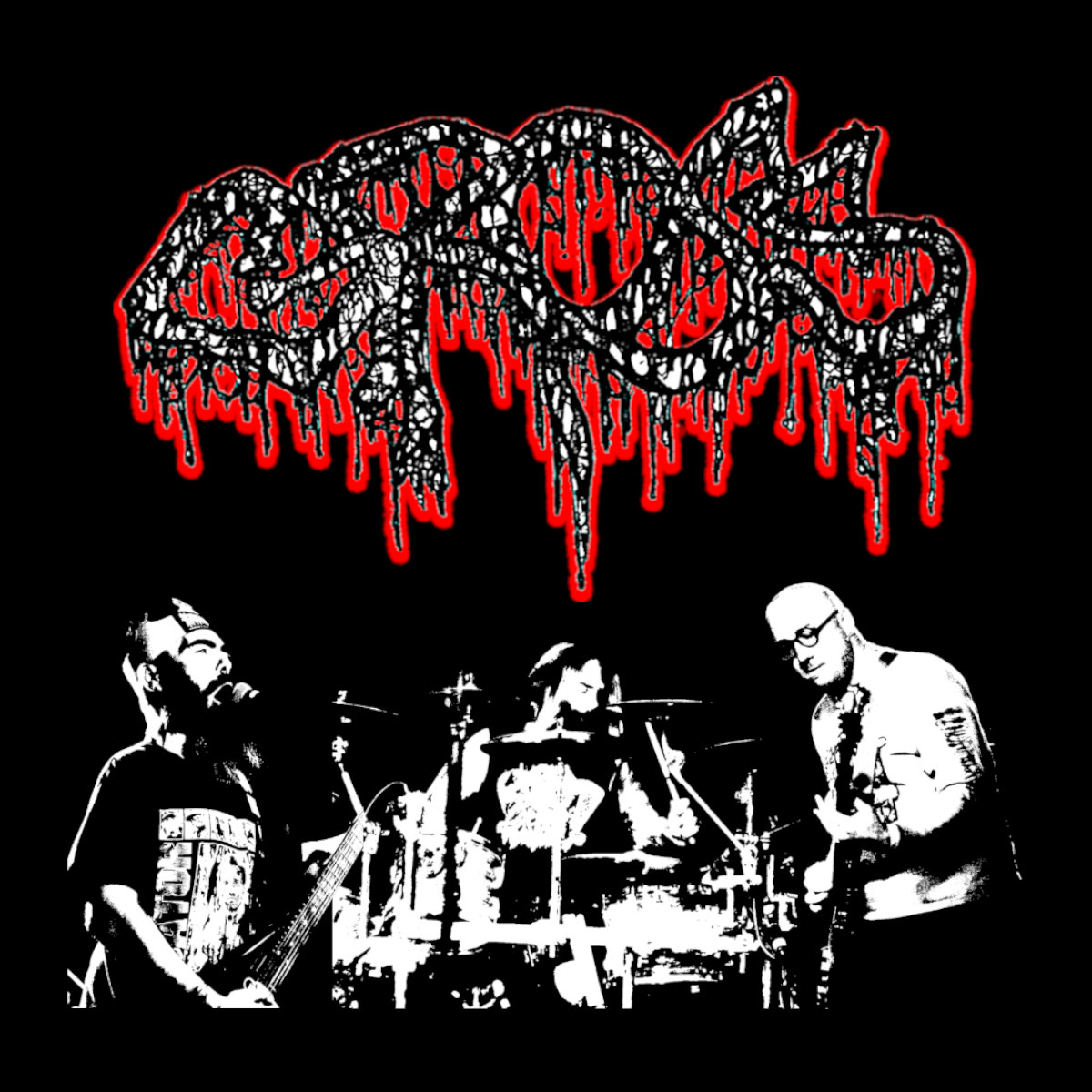 Genitales | GROSS