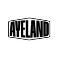 Ayeland Audio image