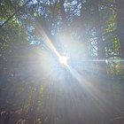 john sweet thumbnail